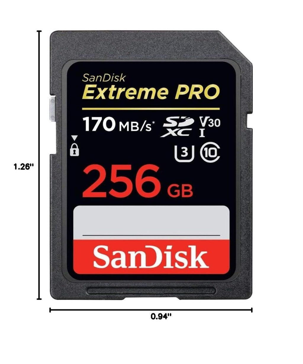 256GB SDXC UHS-I SD Card C536