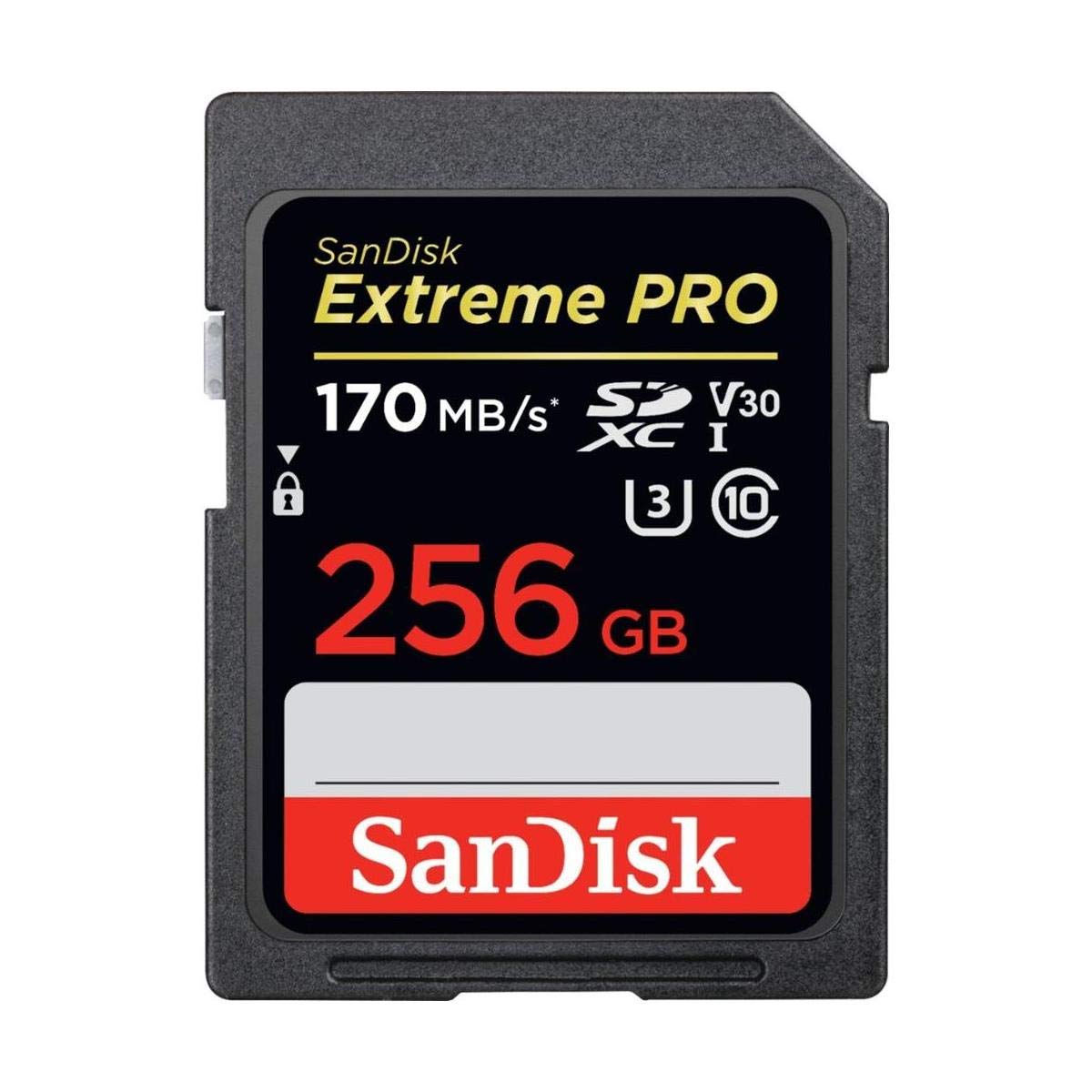 256GB SDXC UHS-I SD Card C536