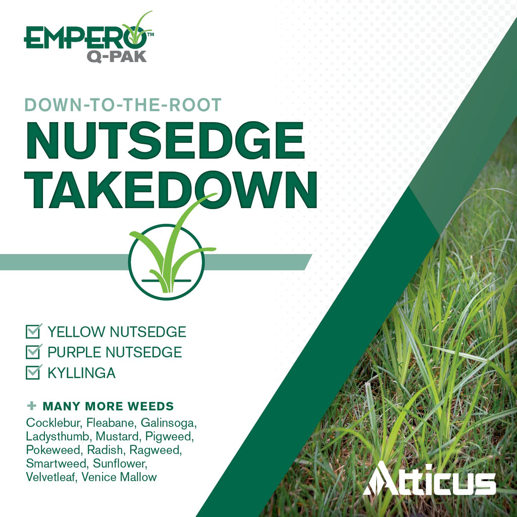 2 Pack Turf Herbicide C241114
