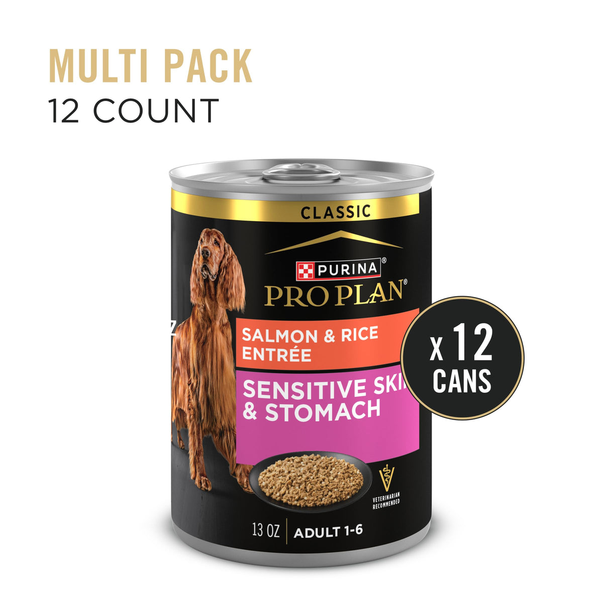 Sensitive Skin & Stomach Wet Dog Food Salmon 13 oz D74700