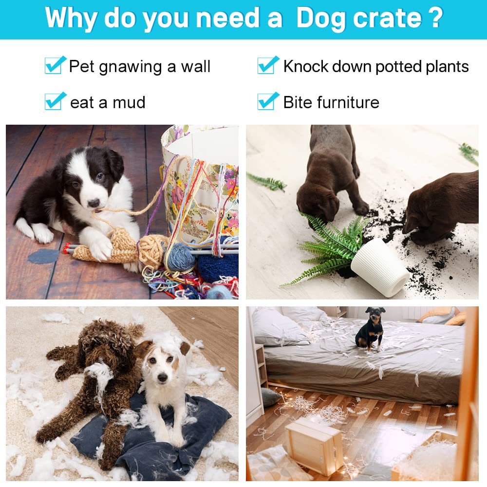 48 Inch Double-Door Dog Crate with Tray & Divider X861