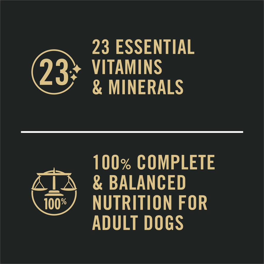 Sensitive Skin & Stomach Wet Dog Food Salmon 13 oz D74700