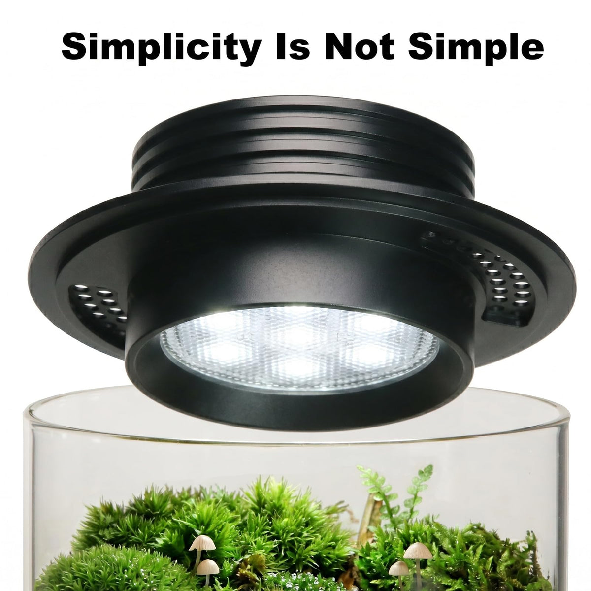 Glass Plant Terrarium with Grow Light A862108
