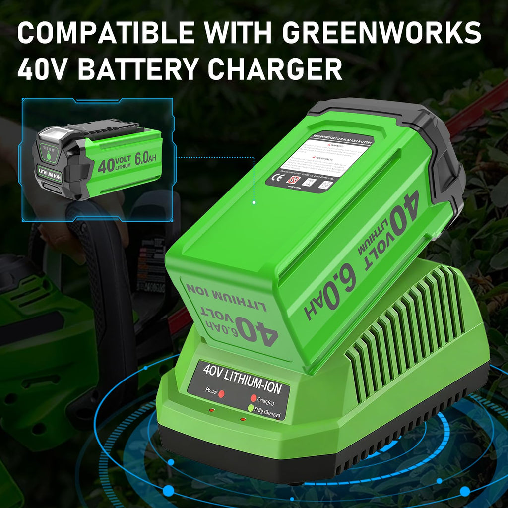 6.0Ah 40 Volt Lithium ion Battery W483