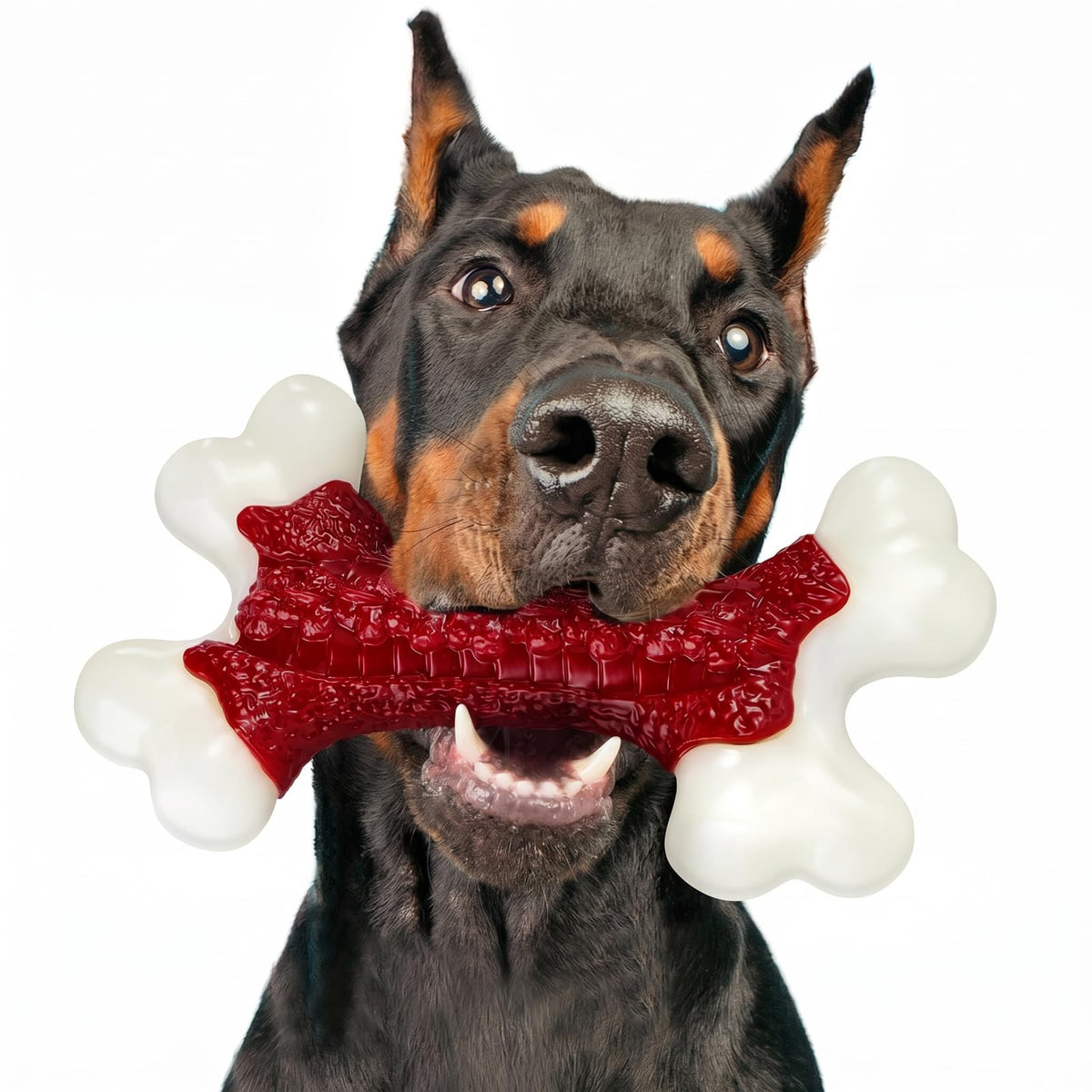 Tough Dog Chew Toys A965