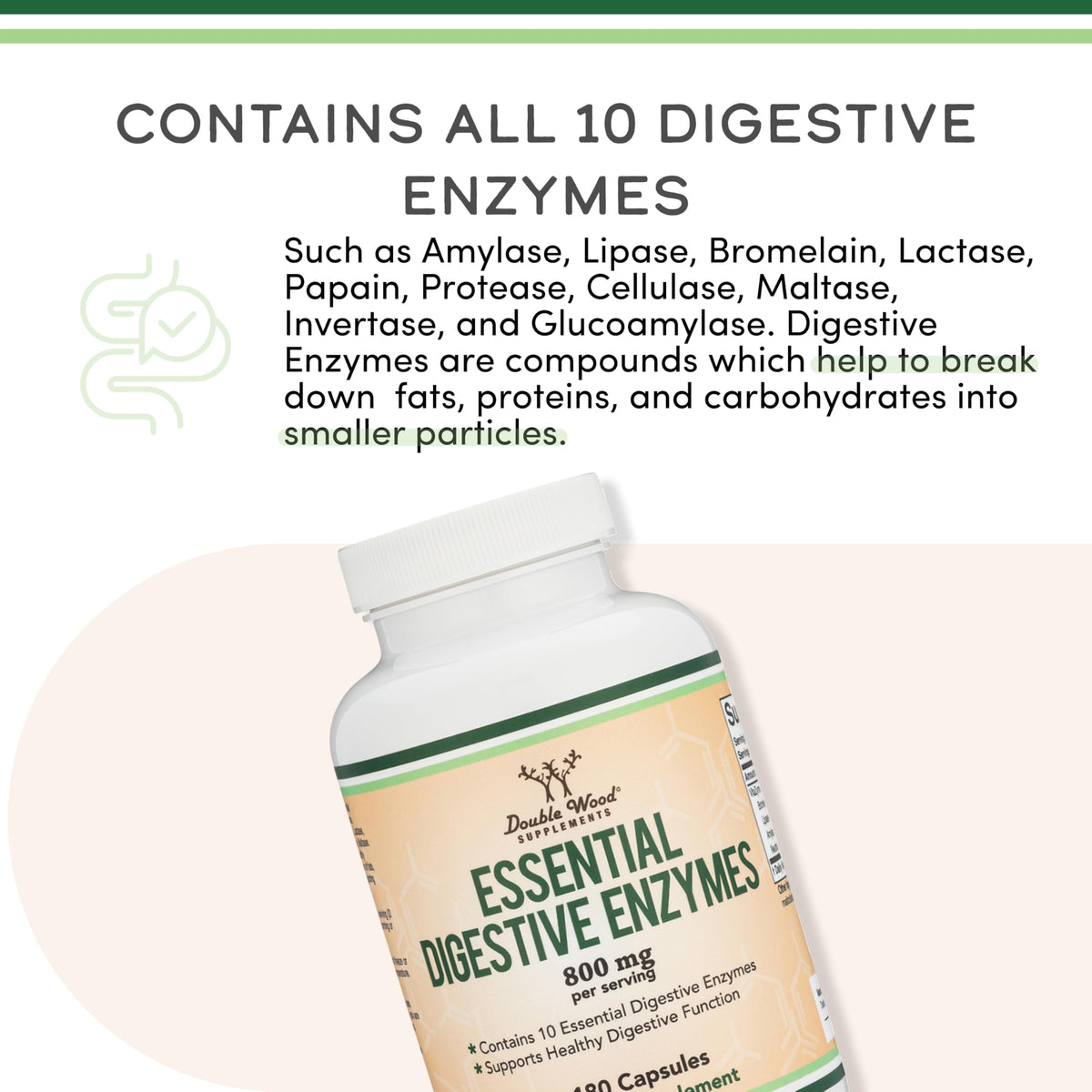 Digestive Enzymes 800mg A15584