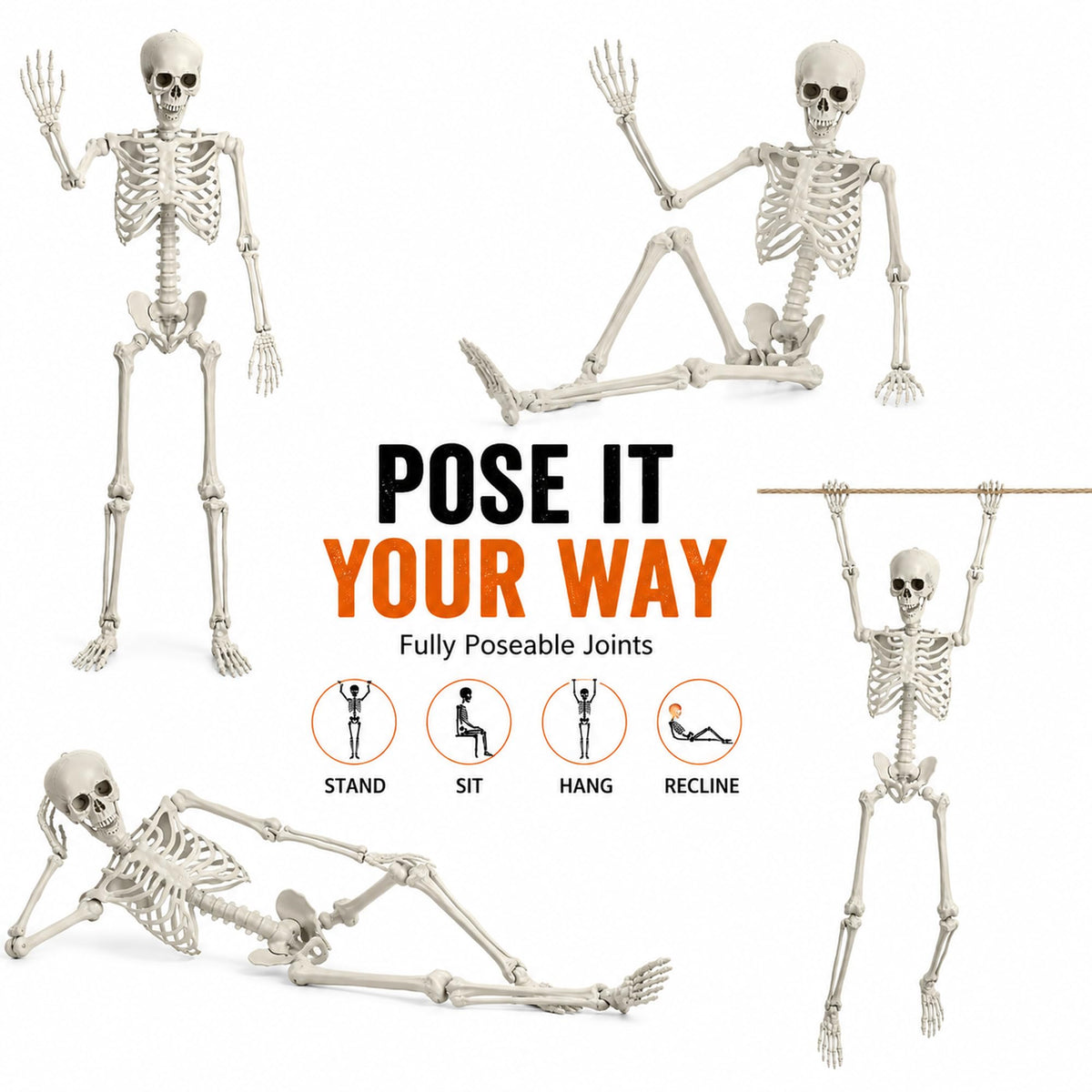 Life Size Poseable Skeleton with Movable Joints U420
