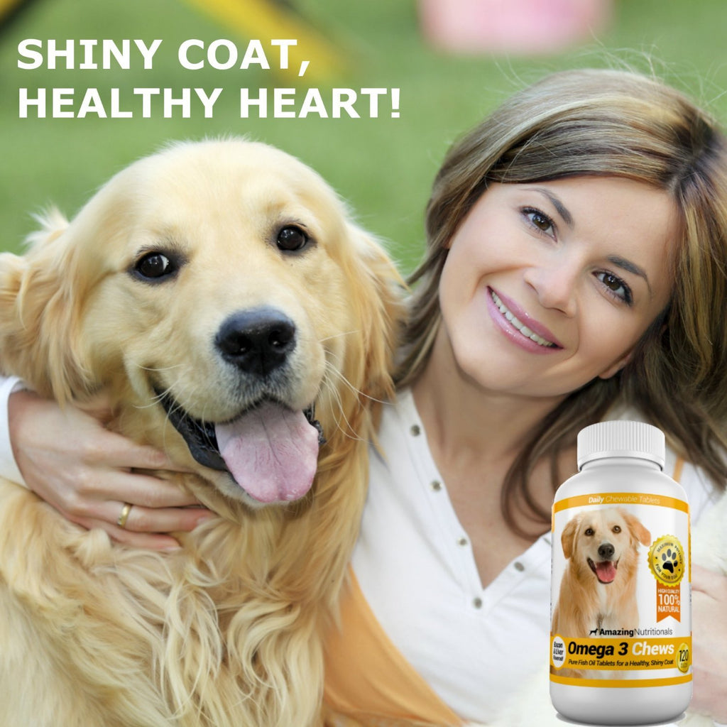 Joint Support Skin and Coat Health Bundle Turmeric Omega 3 N504210