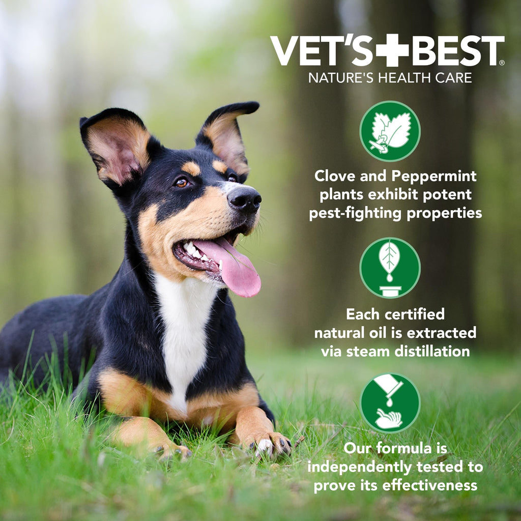 Flea & Tick Shampoo for Dogs 16 oz T7272