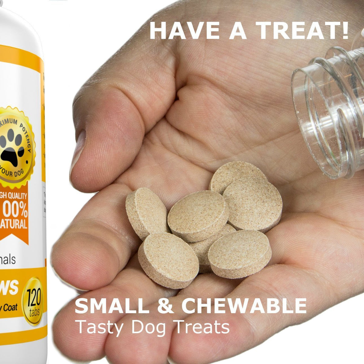Joint Support Skin and Coat Health Bundle Turmeric Omega 3 N504210