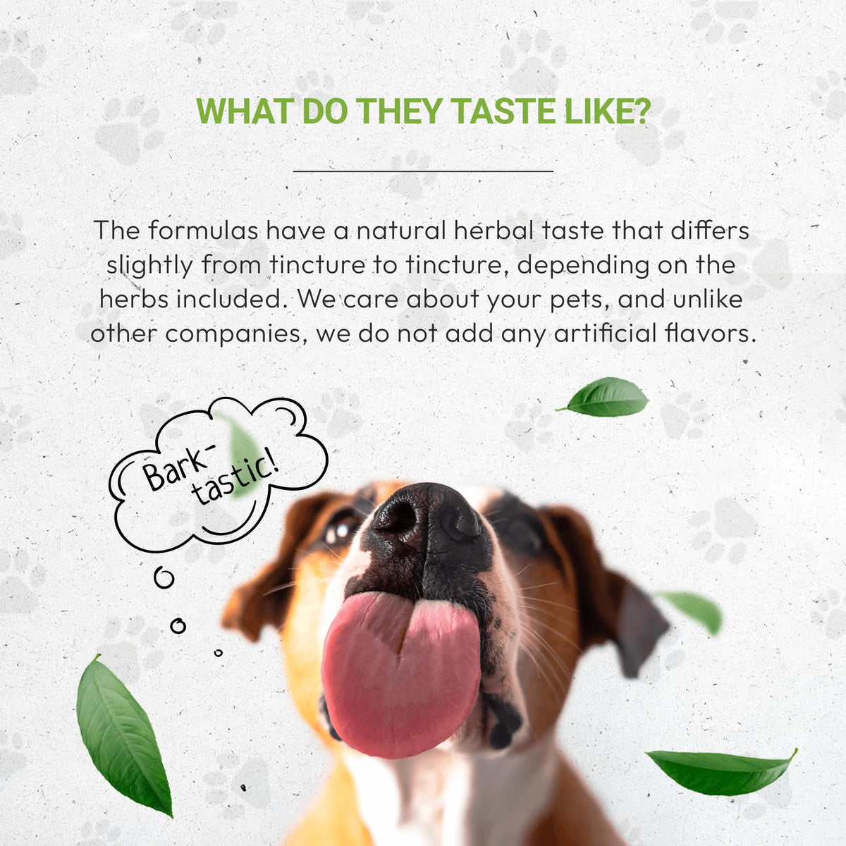 Herbal Dietary Supplement for Dogs 2 oz U872656
