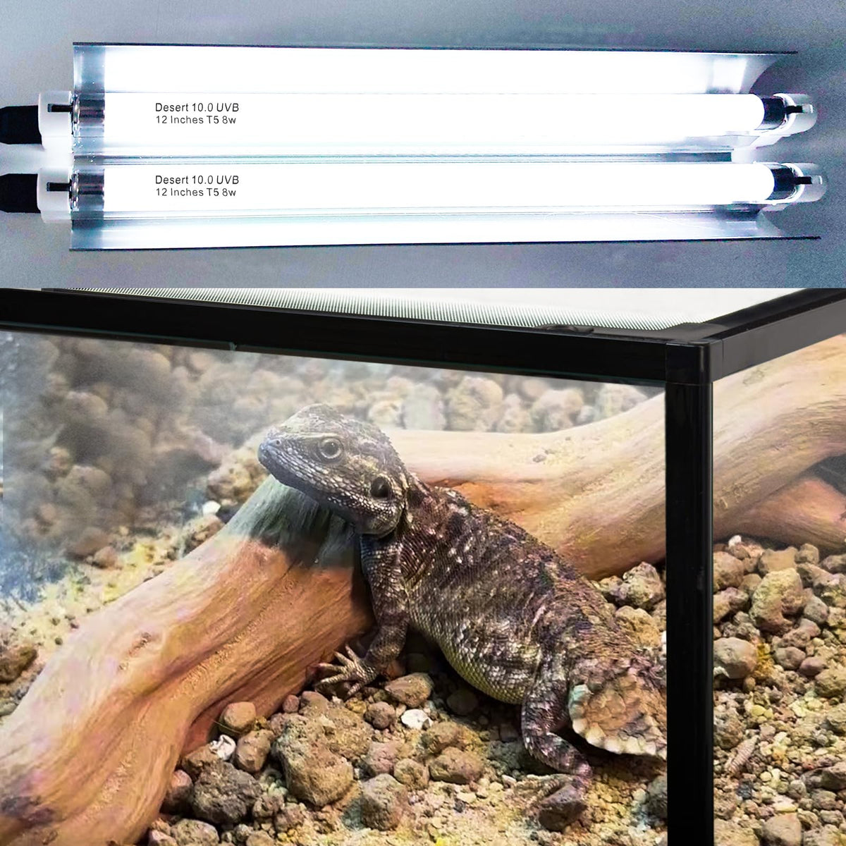 16 Watts 12 Inches T5 10.0 UVB Reptile Light Fixture P912