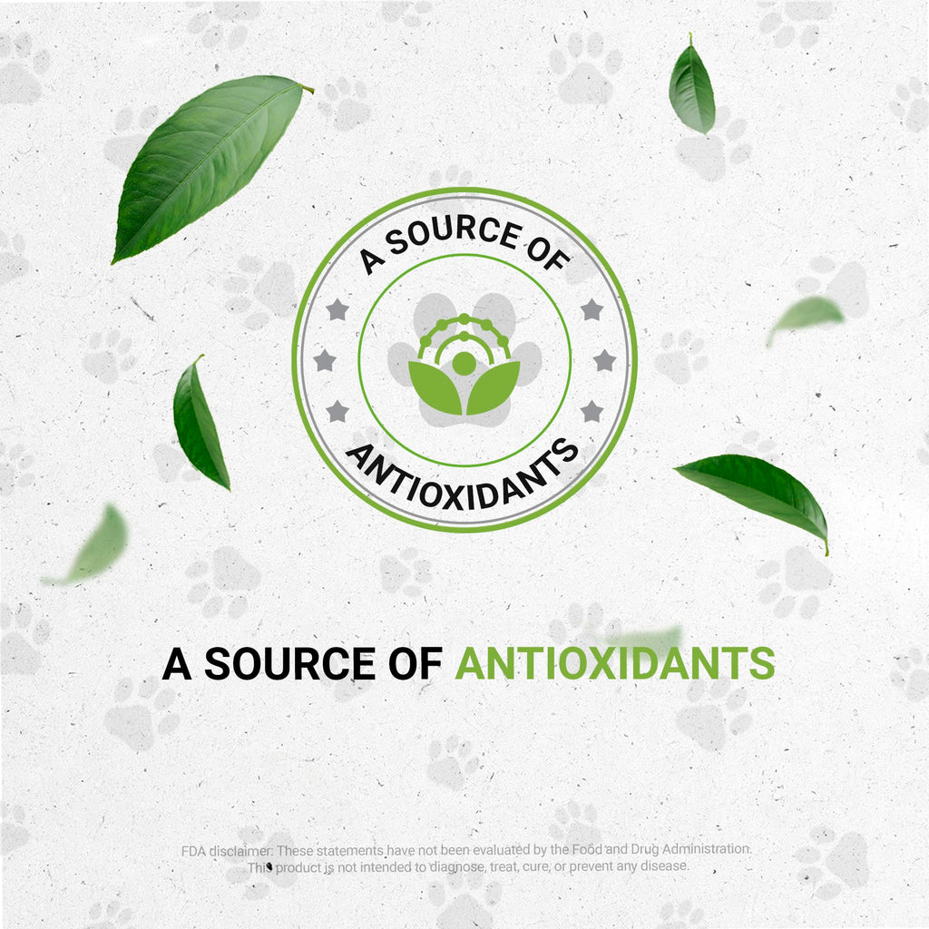 Herbal Dietary Supplement for Dogs 2 oz U872656