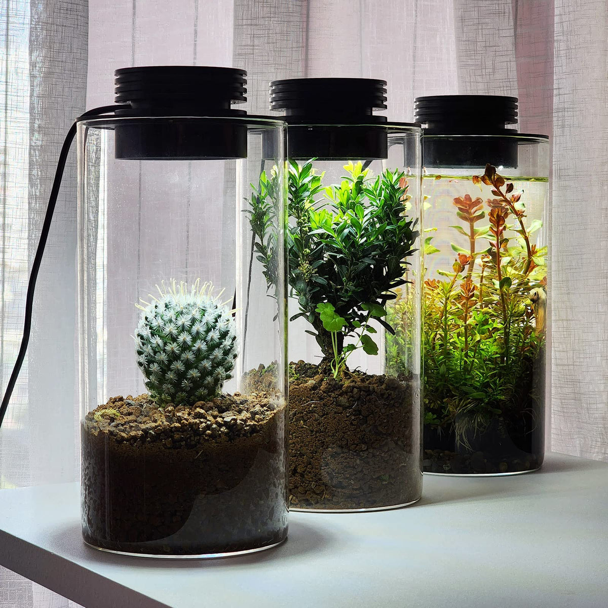 Glass Plant Terrarium with Grow Light A862108