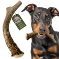 Deer Antler Dog Chew XL 8-10 in D6581