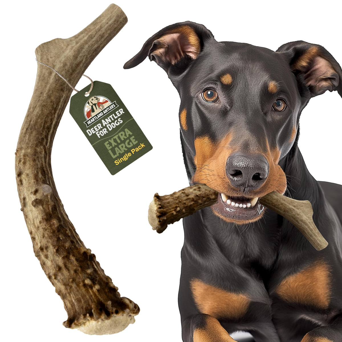 Deer Antler Dog Chew XL 8-10 in D6581