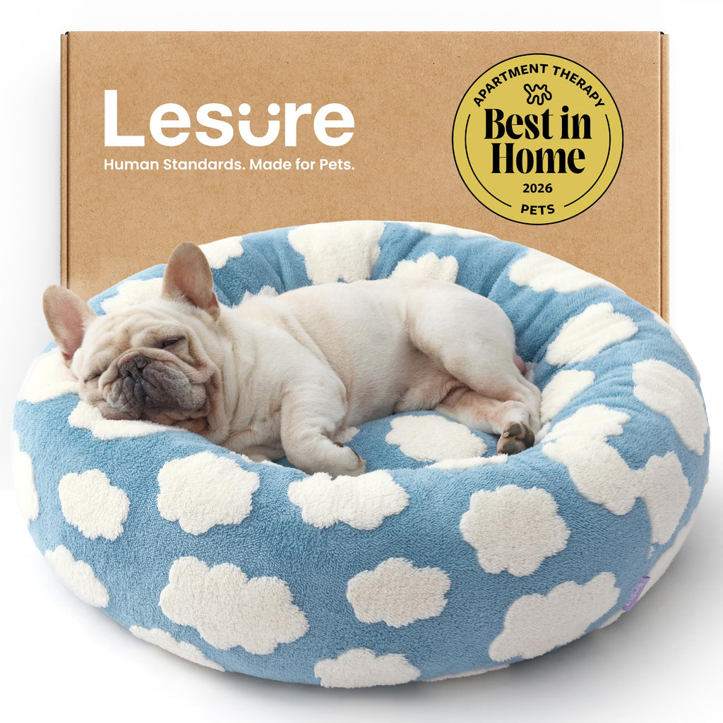 Blue 30x30x8in Dog Bed S448